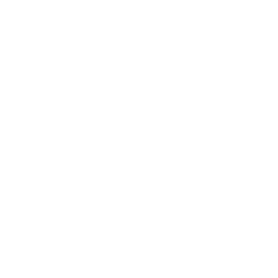 Pós-graduação em Liderança e Gestão para PME